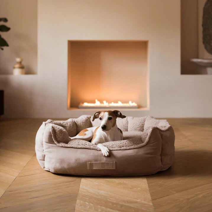 Coussins pour chien